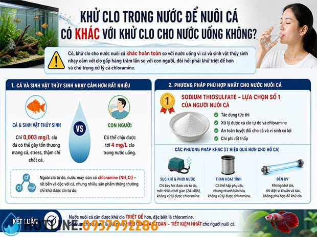 10 Cách Khử Clo Trong Nước Tại Nhà An Toàn Cho Sức Khỏe