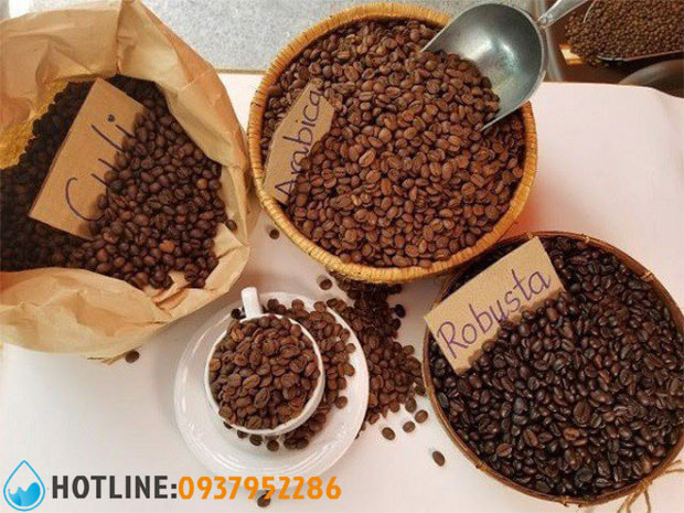 Lõi Lọc Nước Pentair Everpure ESO7 Chính Hãng