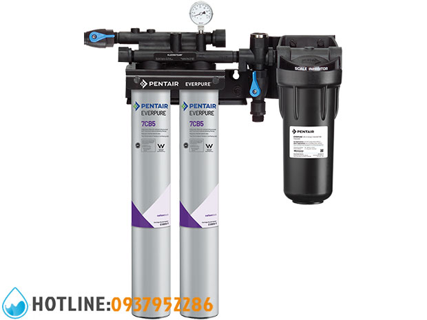 Máy Lọc Nước Pentair Everpure Kleensteam II Twin 7CB5